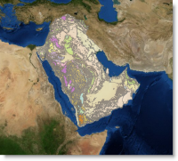 Arabian Peninsula Surface Geology